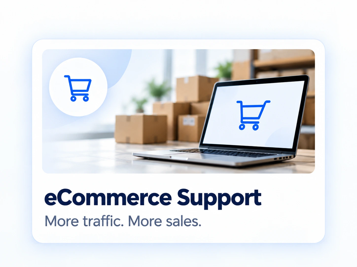 eCommerce SEO - More traffic and sales